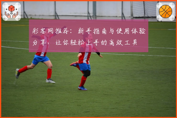 彩客网推荐：新手指南与使用体验分享，让你轻松上手的高效工具