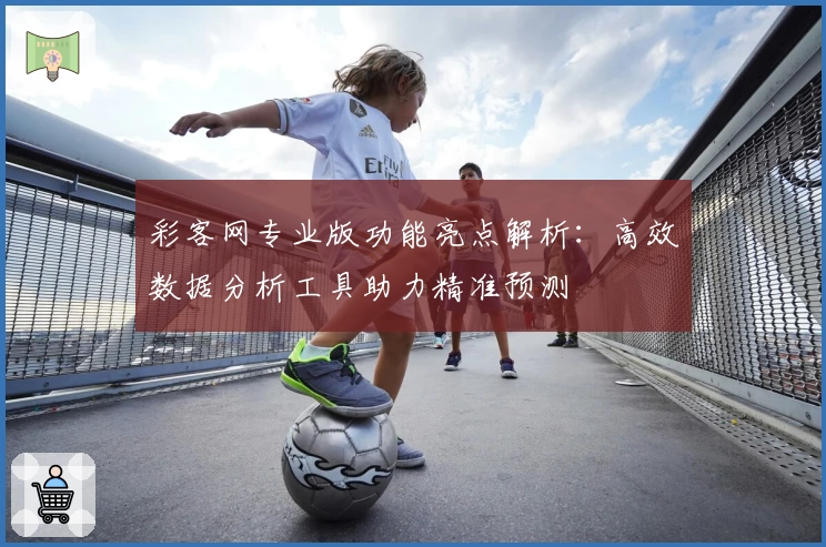 彩客网专业版功能亮点解析：高效数据分析工具助力精准预测