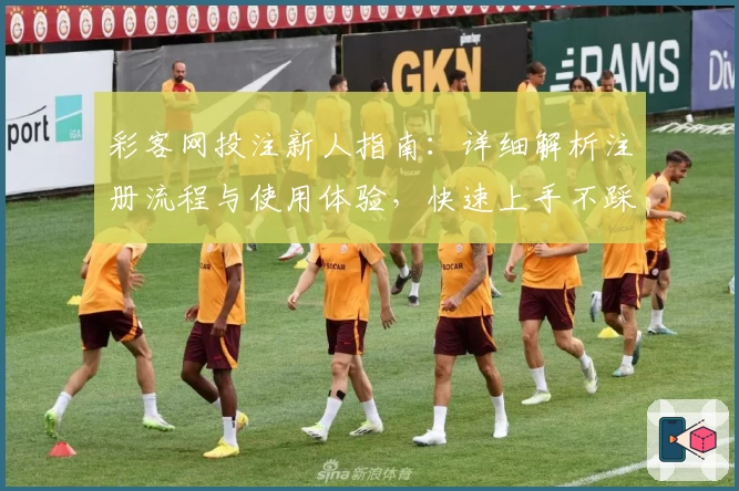 彩客网投注新人指南：详细解析注册流程与使用体验，快速上手不踩坑