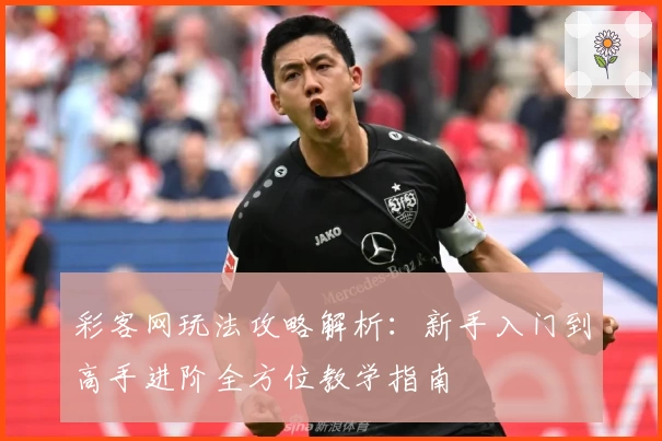 彩客网玩法攻略解析：新手入门到高手进阶全方位教学指南