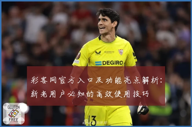 彩客网官方入口及功能亮点解析：新老用户必知的高效使用技巧