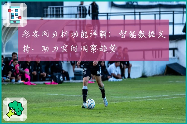 彩客网分析功能详解：智能数据支持，助力实时洞察趋势
